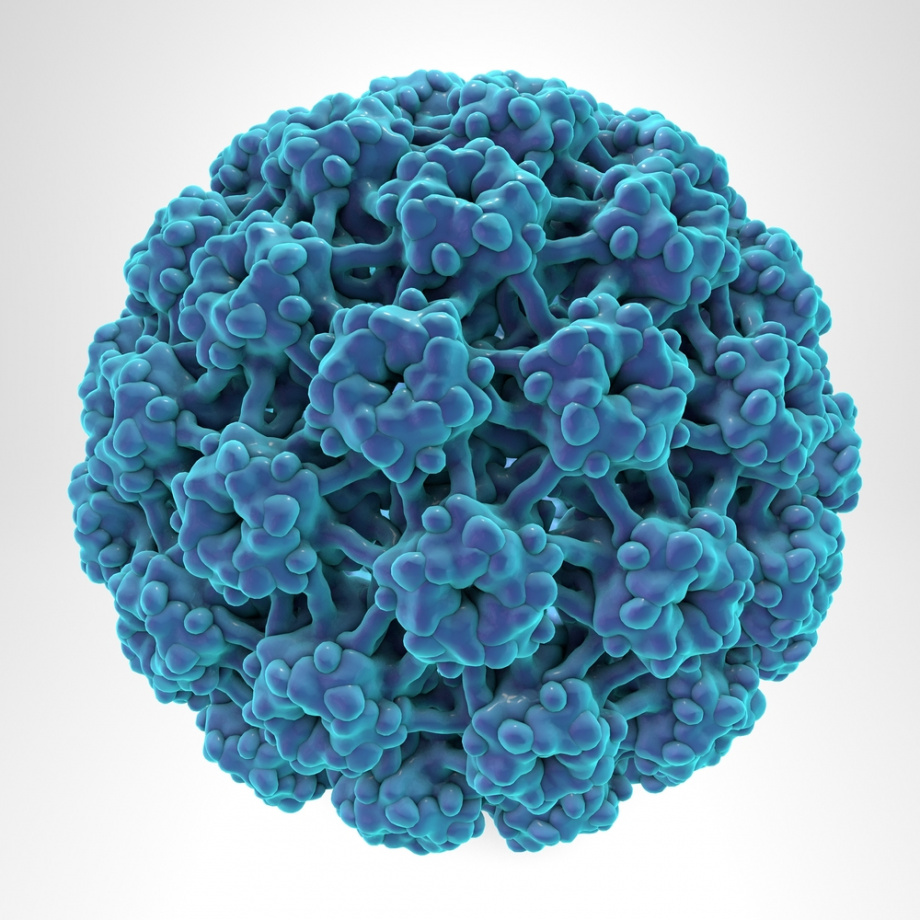 cancer du papillomavirus